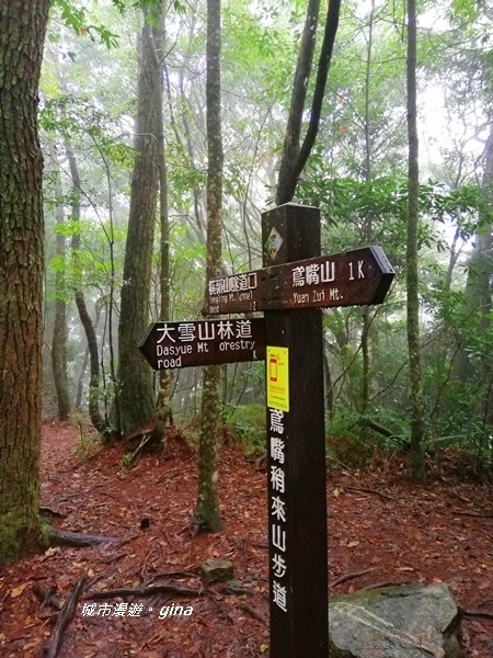 IMG_20200928_135349.jpg IMG_20200928_135349.jpg