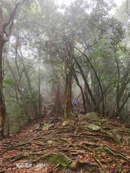 IMG_20200928_135702.jpg IMG_20200928_135702.jpg