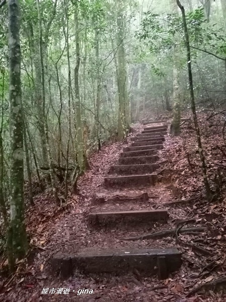 IMG_20200928_133457.jpg IMG_20200928_133457.jpg