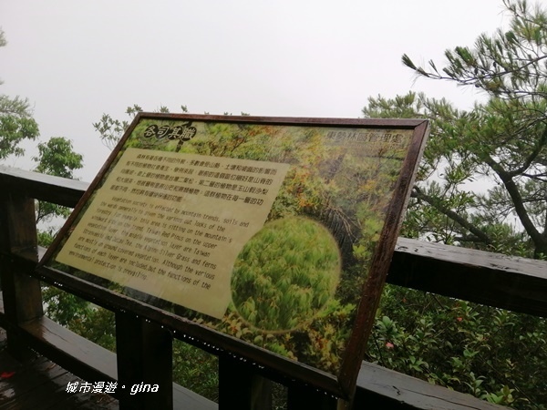 IMG_20200928_141654.jpg IMG_20200928_141654.jpg