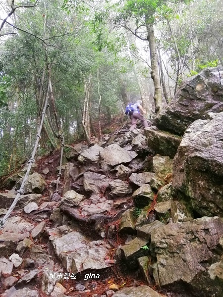 IMG_20200928_141037.jpg IMG_20200928_141037.jpg