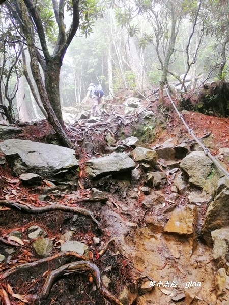 IMG_20200928_140752.jpg IMG_20200928_140752.jpg