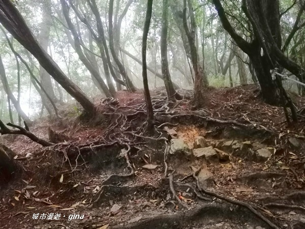 IMG_20200928_140044.jpg IMG_20200928_140044.jpg