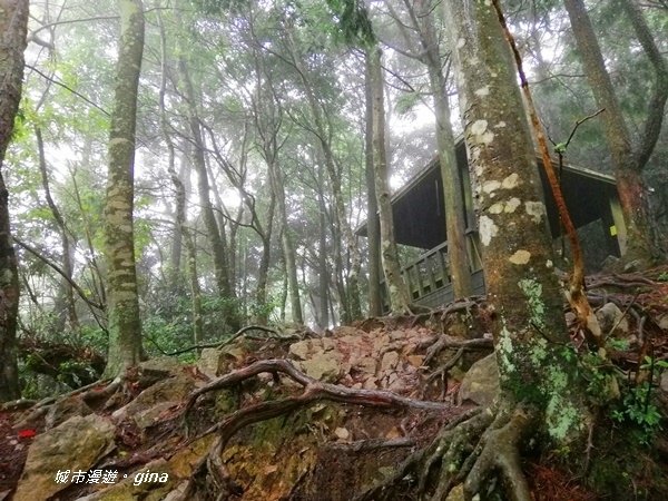 IMG_20200928_142659.jpg IMG_20200928_142659.jpg