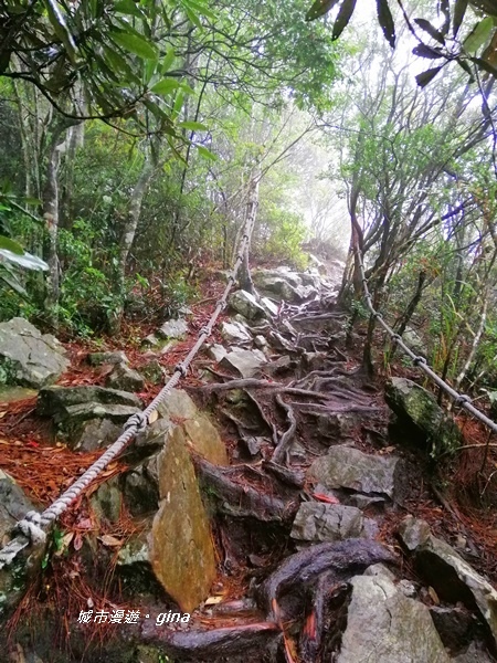 IMG_20200928_141533.jpg IMG_20200928_141533.jpg