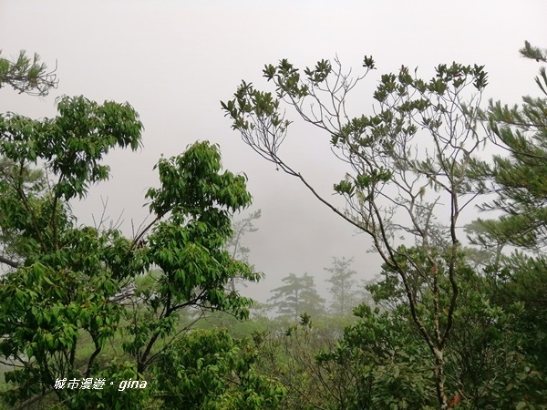 IMG_20200928_141728.jpg IMG_20200928_141728.jpg