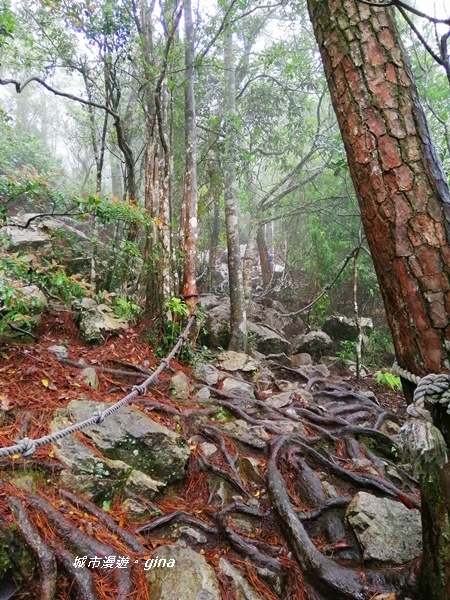 IMG_20200928_142146.jpg IMG_20200928_142146.jpg