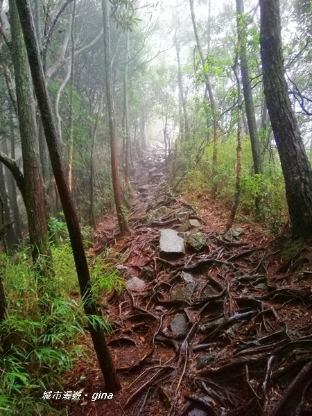 IMG_20200928_144946.jpg IMG_20200928_144946.jpg