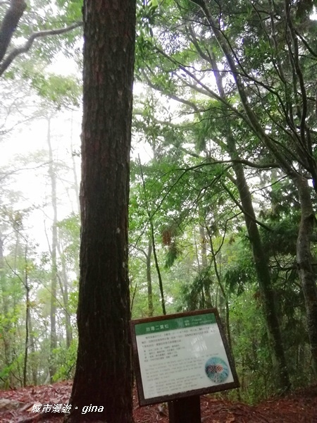 IMG_20200928_144511.jpg IMG_20200928_144511.jpg