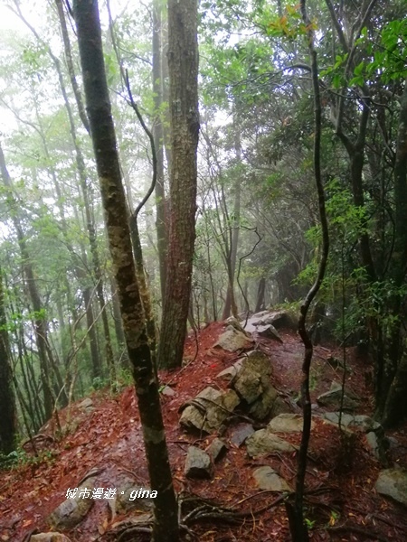 IMG_20200928_144713.jpg IMG_20200928_144713.jpg