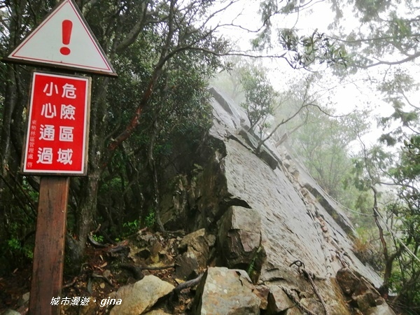 IMG_20200928_145210.jpg IMG_20200928_145210.jpg