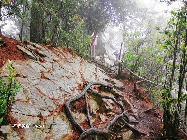 IMG_20200928_145136.jpg IMG_20200928_145136.jpg