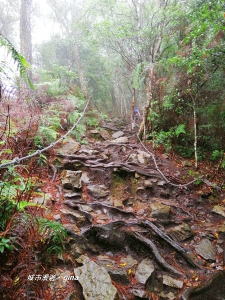 IMG_20200928_142350.jpg IMG_20200928_142350.jpg