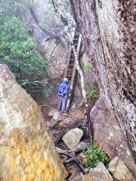 IMG_20200928_150427.jpg IMG_20200928_150427.jpg