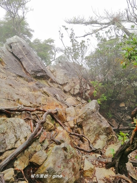 IMG_20200928_151623.jpg IMG_20200928_151623.jpg