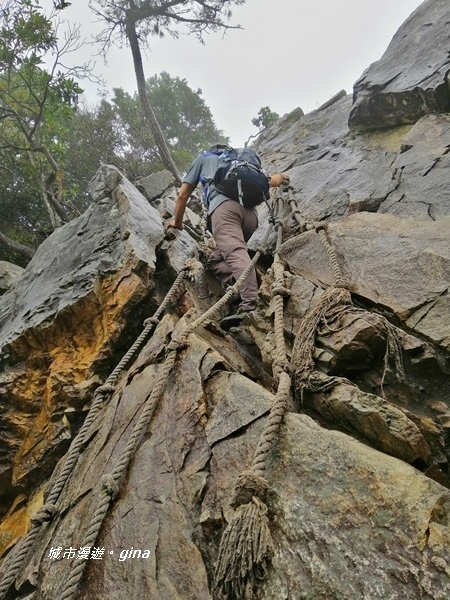 IMG_20200928_151010.jpg IMG_20200928_151010.jpg