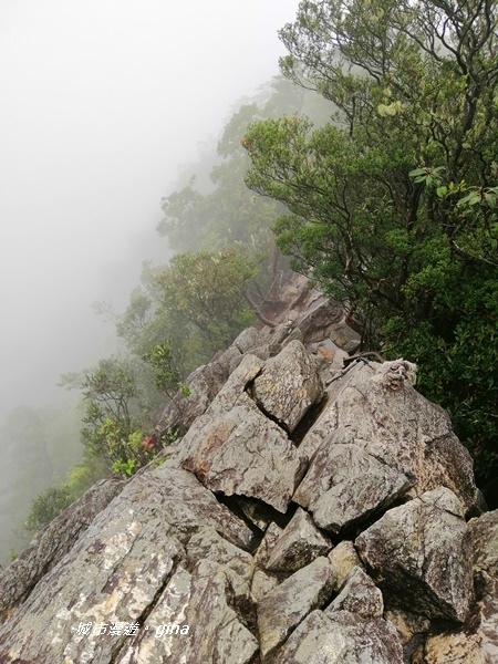 IMG_20200928_150057.jpg IMG_20200928_150057.jpg