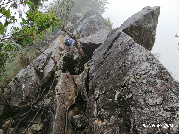 IMG_20200928_152230.jpg IMG_20200928_152230.jpg