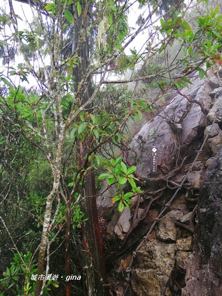 IMG_20200928_152055.jpg IMG_20200928_152055.jpg