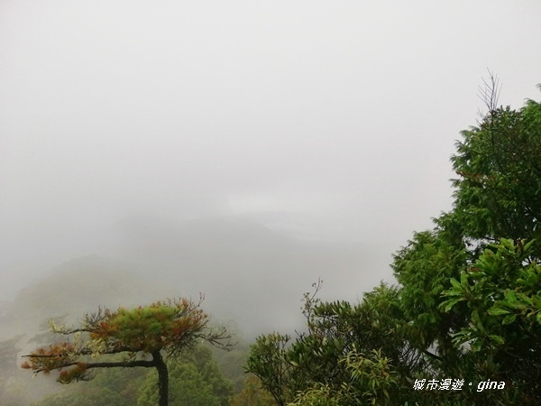 IMG_20200928_152137.jpg IMG_20200928_152137.jpg