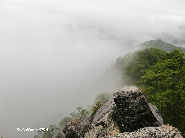 IMG_20200928_152816.jpg IMG_20200928_152816.jpg