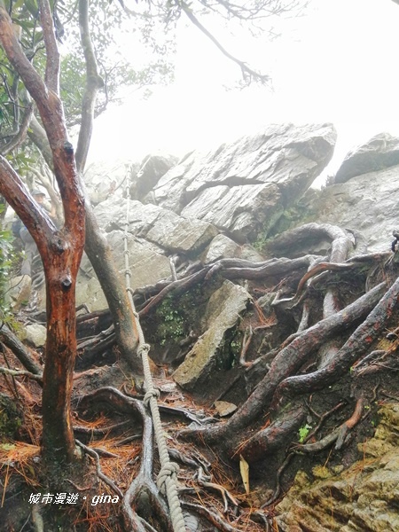 IMG_20200928_152954.jpg IMG_20200928_152954.jpg