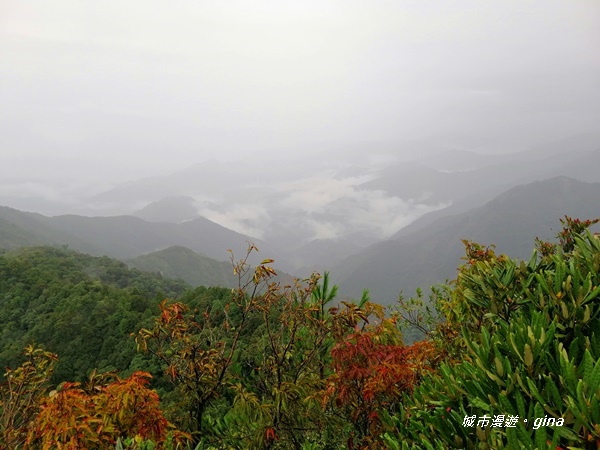 IMG_20200928_155543.jpg IMG_20200928_155543.jpg