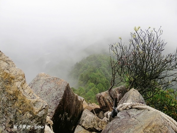 IMG_20200928_153903.jpg IMG_20200928_153903.jpg