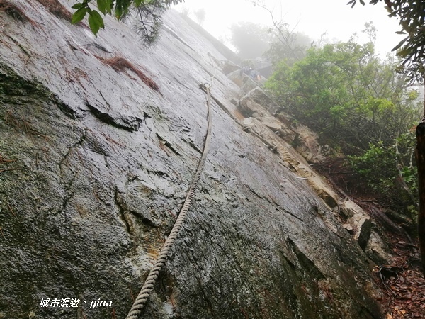 IMG_20200928_154644.jpg IMG_20200928_154644.jpg