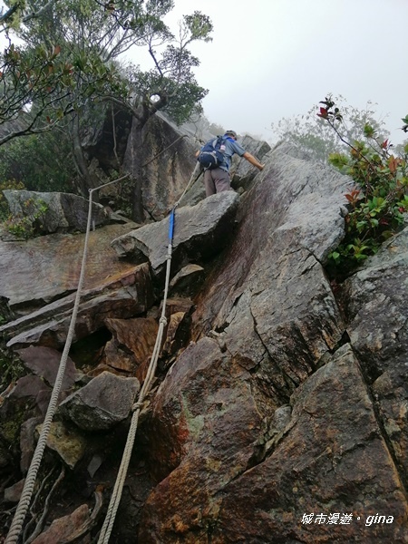 IMG_20200928_153909.jpg IMG_20200928_153909.jpg