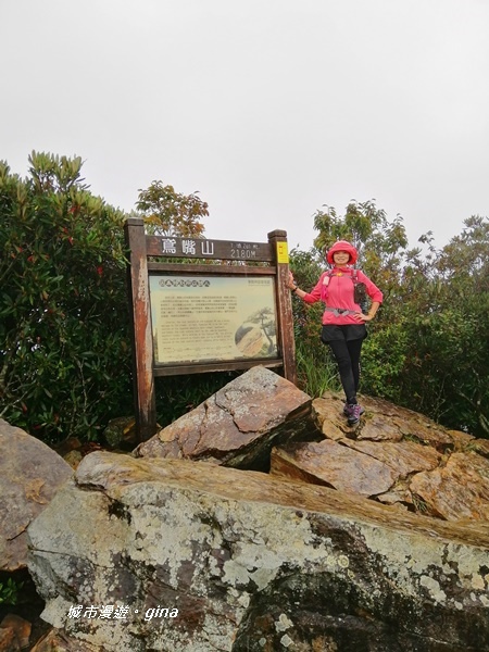 IMG_20200928_160003.jpg IMG_20200928_160003.jpg