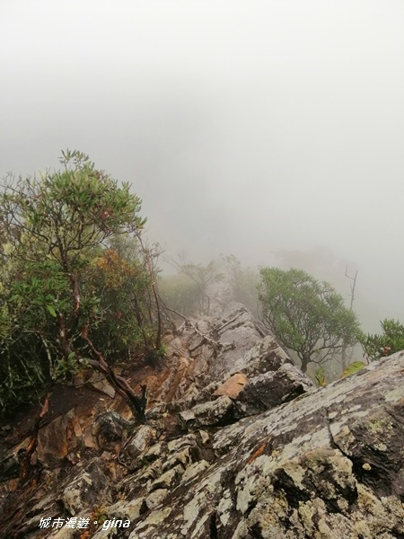 IMG_20200928_160413.jpg IMG_20200928_160413.jpg