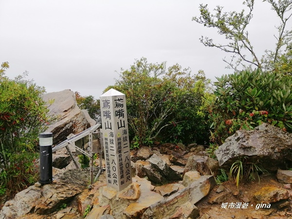 IMG_20200928_155818.jpg IMG_20200928_155818.jpg