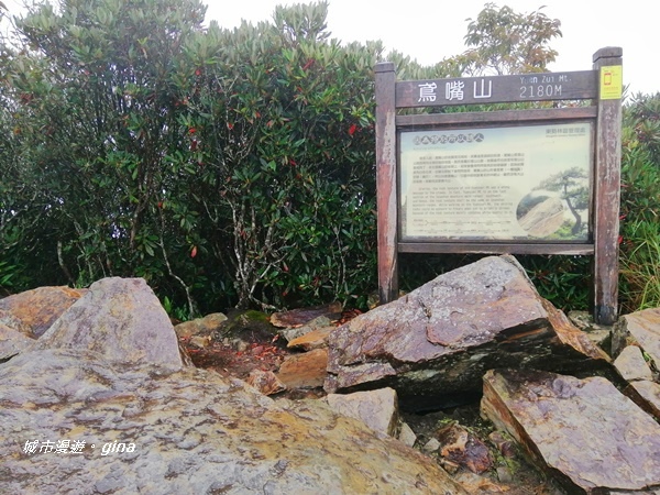 IMG_20200928_160033.jpg IMG_20200928_160033.jpg