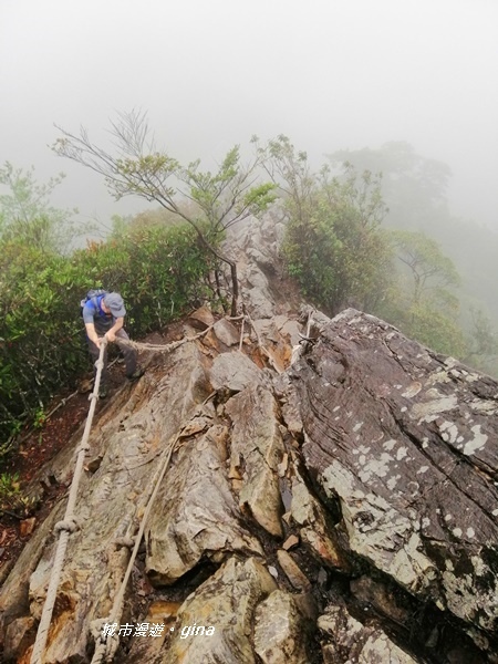 IMG_20200928_160553.jpg IMG_20200928_160553.jpg