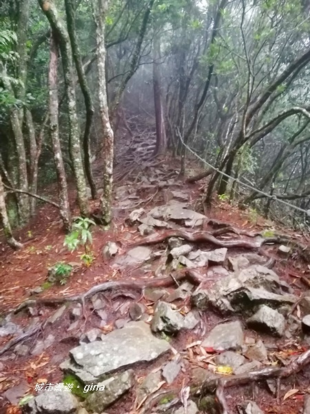 IMG_20200928_164443.jpg IMG_20200928_164443.jpg