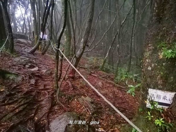 IMG_20200928_165017.jpg IMG_20200928_165017.jpg