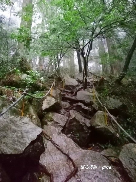 IMG_20200928_165635.jpg IMG_20200928_165635.jpg