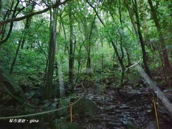 IMG_20200928_170130.jpg IMG_20200928_170130.jpg