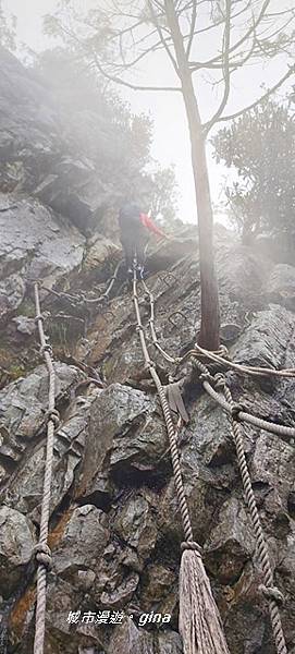 line_902646276094011.jpg line_902646276094011.jpg