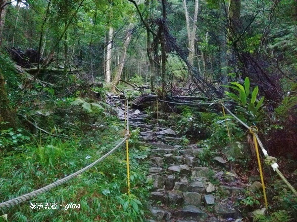 IMG_20200928_172530.jpg IMG_20200928_172530.jpg