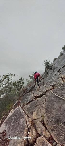 line_902734893469519.jpg line_902734893469519.jpg