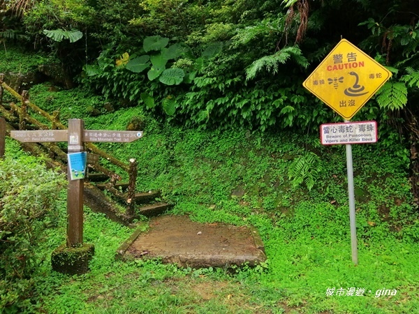 【新北石碇】清悠山林。 No17小百岳二格山678M