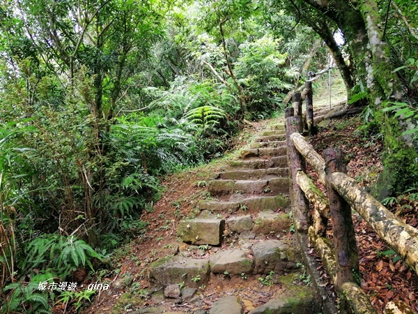 【新北石碇】清悠山林。 No17小百岳二格山678M