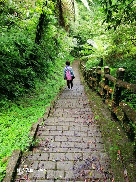 【新北石碇】清悠山林。 No17小百岳二格山678M