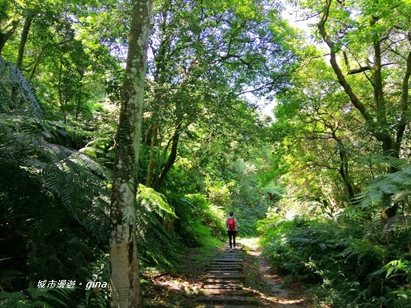 【新北深坑】藍天綠意好時光。 No14小百岳土庫岳389M