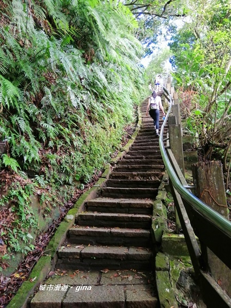 【台北南港】城市中的山林風光。 No13小百岳~南港山375