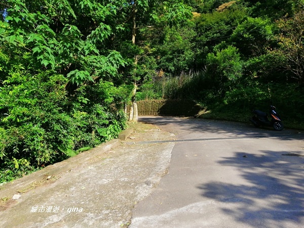 IMG_20201001_145716.jpg IMG_20201001_145716.jpg