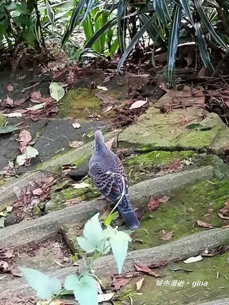 IMG_20201001_150629.jpg IMG_20201001_150629.jpg