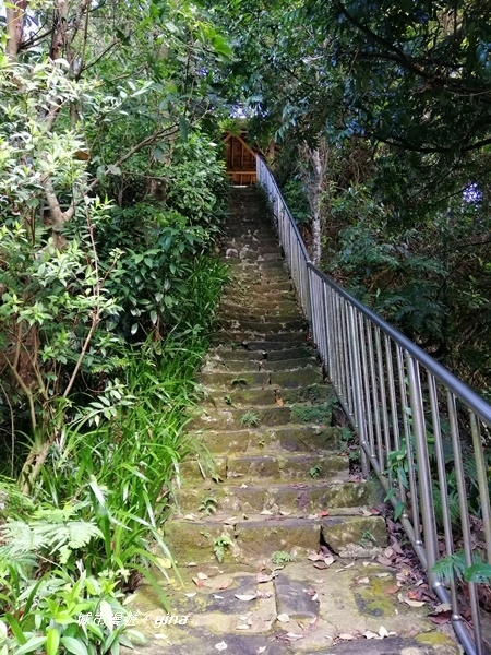 IMG_20201001_151237.jpg IMG_20201001_151237.jpg